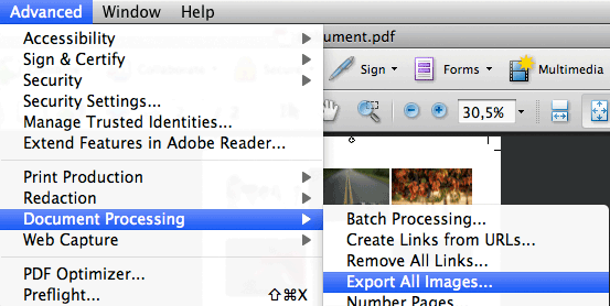 Export all images