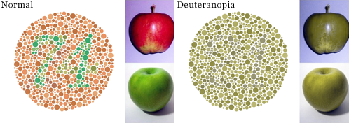 Deuteranopia Color Blindness simluated in Photoshop