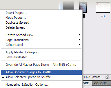 Allow Document Pages to Shuffle
